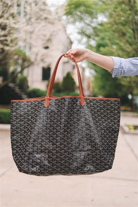 louis vuitton vs goyard.